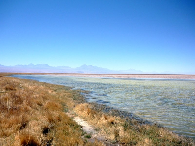 eine Salzlagune in der Atacamawste