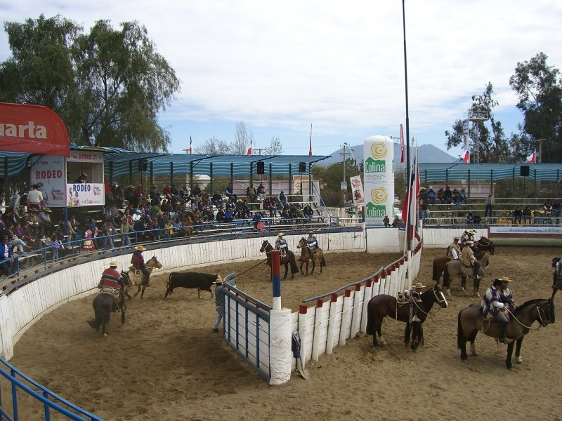 Rodeo in Colina (nrdlich von Santiago)